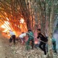 Karhutla Melanda 12 Hektare Lahan Warga di Sidareja, Personel Gabungan Turun ke Lokasi