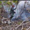 Kebakaran Lahan di Danasri, Koramil 02/Jeruklegi Bersama Warga Lakukan Pemadaman