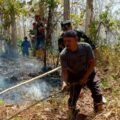 Babinsa Koramil 09/Kawunganten Bersama Masyarakat Peduli Api Berhasil Padamkan Kebakaran Lahan Perhutani di Kawunganten