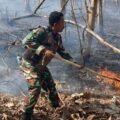 Bersama Petugas Gabungan, Koramil 06/Kesugihan Tangani Kebakaran Lahan Jati
