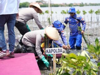 Kapolda Jateng Lakukan Green Policing di Pesisir Batang, Tanam 1.000 Mangrove Bersama Masyarakat